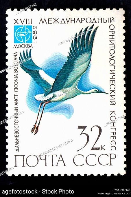 USSR - CIRCA 1982: stamp printed by USSR, shows bird black crane, devoted 18th Ornithological Cong. Image of Ciconia boyciana