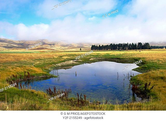 pond in grazing land near Lake Tekapo, New Zealand