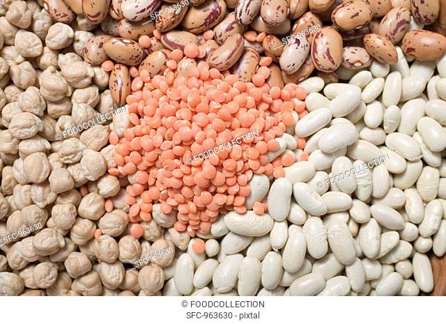 Borlotti beans, white beans, chick-peas and red lentils