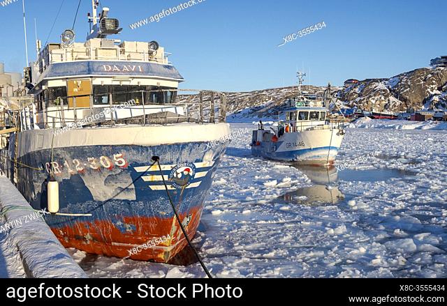 Winter in the frozen harbour of town Ilulissat on the shore of Disko Bay. North America, Greenland, Denmark