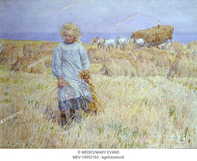 Blonde comme les Blés' (blonde like the wheat) – Little girl standing in a field of wheat being harvested. Dated July 1989