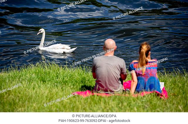 23 June 2019, Berlin: Sina and Felix enjoy the sun in Kreuzberg on the banks of the Landwehr Canal, while a swan swims by in the water