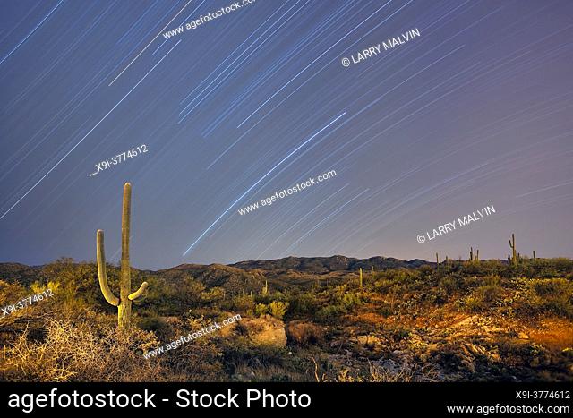 Star trails and desert landscape in Saguaro National Park, Arizona