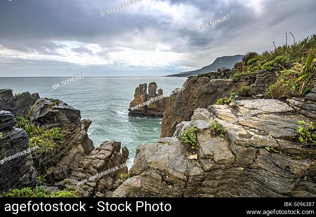 Coastal landscape of sandstone rocks, Pancake Rocks, Paparoa National Park, Punakaiki, West Coast, South Island, New Zealand, Oceania