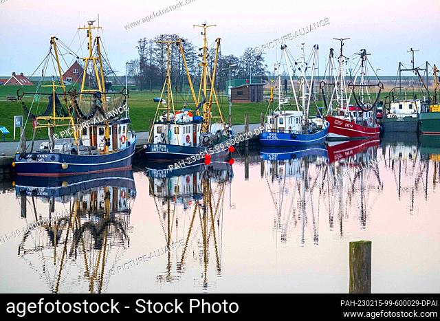PRODUCTION - 14 February 2023, Lower Saxony, Greetsiel: Shrimp cutters lie in the harbor. The new North Sea Tourism Agency (Tano) wants to start building a...