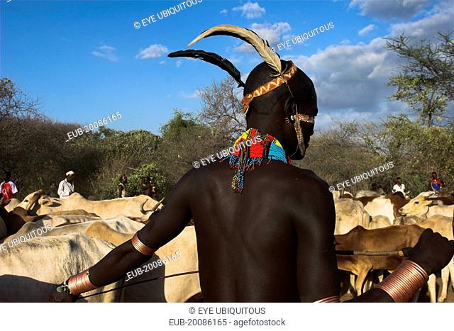 Hama Jumping of the Bulls initiation ceremony, Ritual dancing round cows and bulls before the initiate does the jumpin