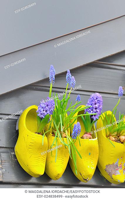 Traditional national wooden shoes Klomp like flowerpots with flowers