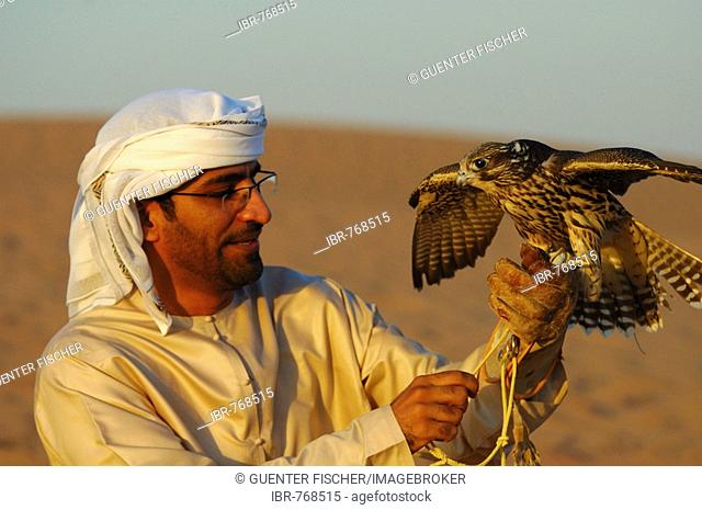 Falconer holding a Gyrfalcon, Gyr Falcon (Falco rusticolus), Dubai, United Arab Emirates, UAE, Middle East