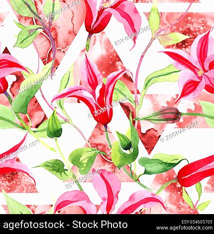 Red clematis. Floral botanical flower. Wild spring leaf wildflower pattern. Aquarelle wildflower for background, texture, wrapper pattern, frame or border