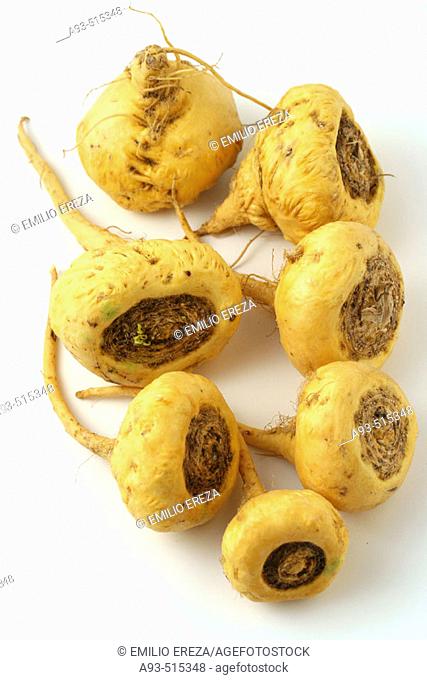 Maca (Lepidium peruvianum). Andean roots with aphrodisiacal and invigorative characteristics
