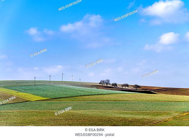 Germany, Baden-Wuerttemberg, Taubertal, fieldscape