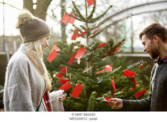 A woman choosing a traditional pine tree, Christmas tree reading the red handwritten labels on the branches