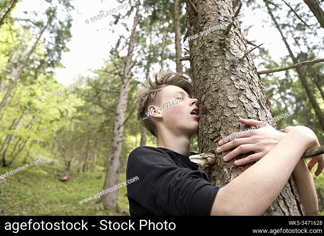 Young boy in forest, embracing a tree. Bad Tölz, Upper bavaria, Germany