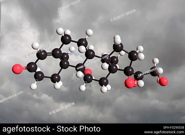 Molecular model of cortisol. Cortisol is a steroid hormone, produced by the adrenal gland, released to help the body deal with stressful situations by impacting...