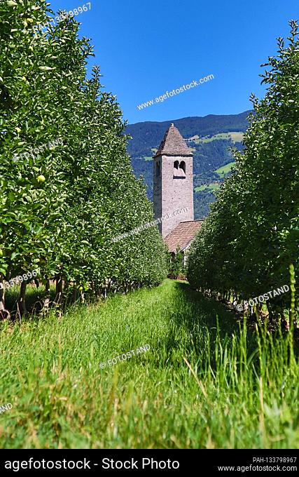 South Tyrol, Italy July 2020: Impressions of South Tyrol July 2020 Naturns, Vinschgau, St. Prokulus Church | usage worldwide. - /Südtirol/Italien