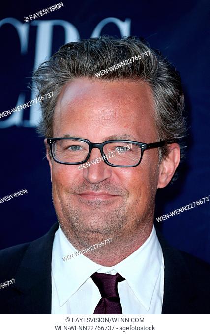 CBS, CW And Showtime 2015 Summer TCA Party at Pacific Design Center - Arrivals Featuring: Matthew Perry Where: West Hollywood, California