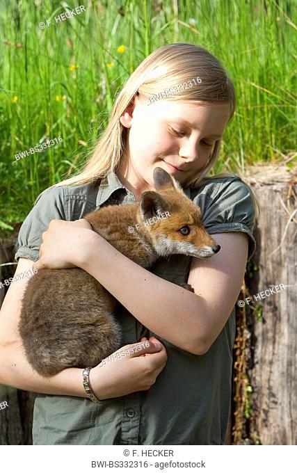 red fox (Vulpes vulpes), girl with an orphaned juvenile on the arm being upbrought by hand, Germany