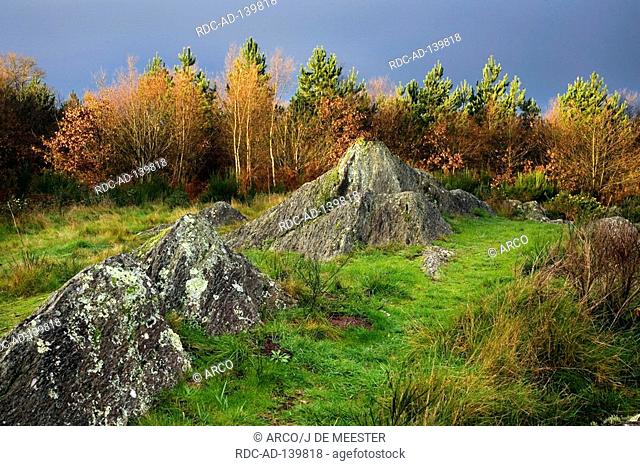 Druid Hill forest Paimpont Broceliande Brittany France Merlin myth legendary