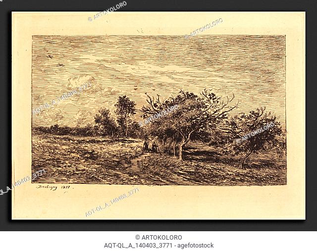 Charles-François Daubigny (French, 1817 - 1878), Apple Trees in Auvers (Pommiers a Auvers), 1877, etching