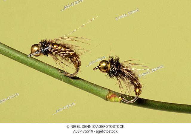 Fly fishing for trout, caddis pupa trout flies