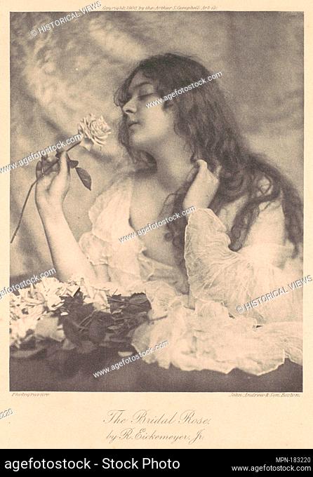 The Bridal Rose. Artist: Rudolph Eickemeyer (American, 1862-1932); Date: 1900; Medium: Photogravure; Classifications: Photographs, Prints