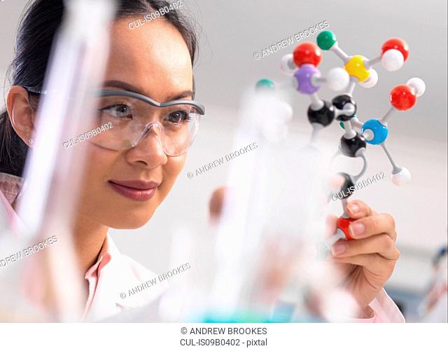Scientist using molecular model to understand chemical formula