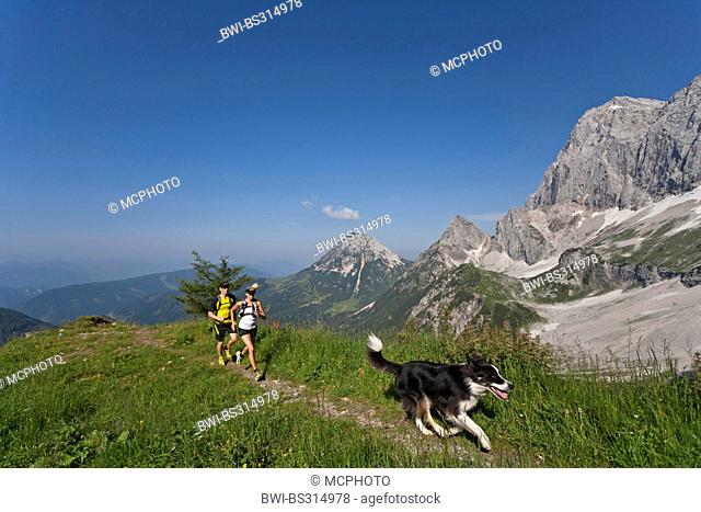 Border Collie (Canis lupus f. familiaris), young couple with dog trail running at the Dachstein Mountains, Austria, Styria, Dachstein