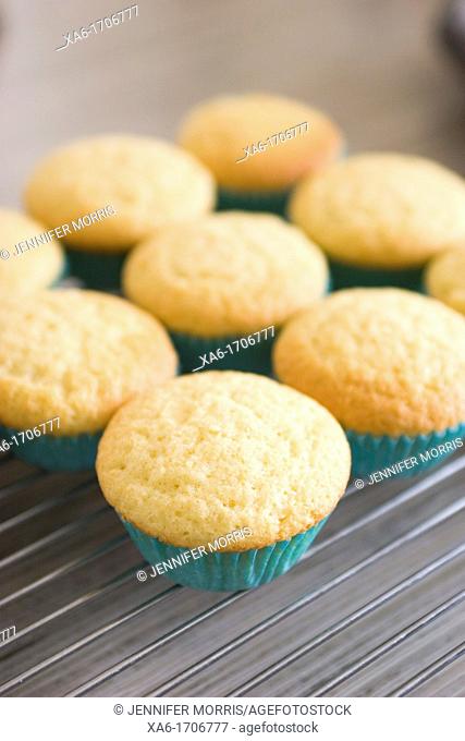 Freshly baked cupcakes in turquoise paper cases resting on a cooling rack