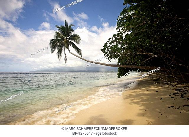 Palm beach, Qamea, Fiji Islands, Fiji, South Pacific, Oceania