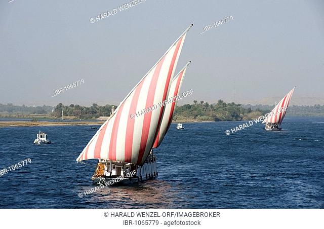 Sailing boats for tourists, Nile near Assuan, Egypt, Africa