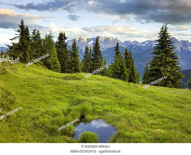 Winkleralm, Lienz Dolomites, East Tyrol, Tyrol, Austria