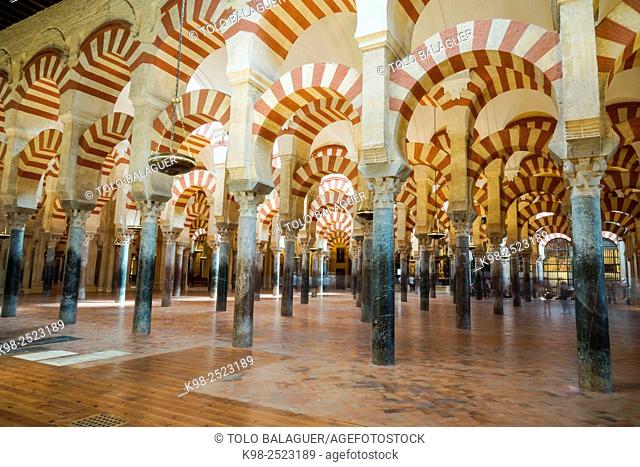 sala de las columnas, Mezquita-catedral de Córdoba, Andalucia, Spain