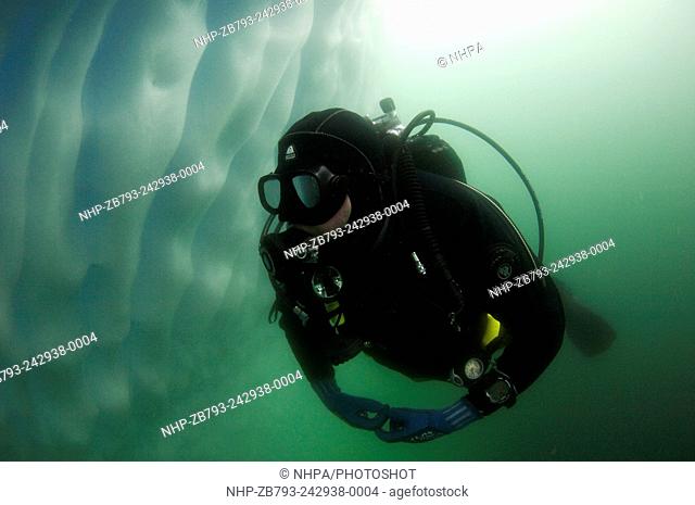 Diver diving an iceberg in PlÃ©neau Bay