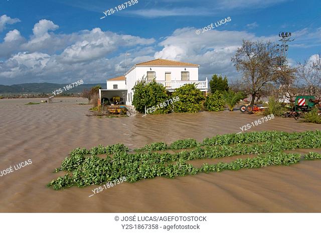 Guadalquivir river floods, Field next to Llanos del Sotillo quarter, Andujar, Jaen-province, Spain