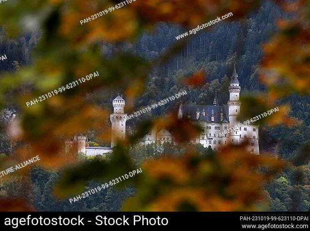 19 October 2023, Bavaria, Schwangau: Neuschwanstein Castle stands behind autumn leaves. Photo: Karl-Josef Hildenbrand/dpa. - Schwangau/Bavaria/Germany