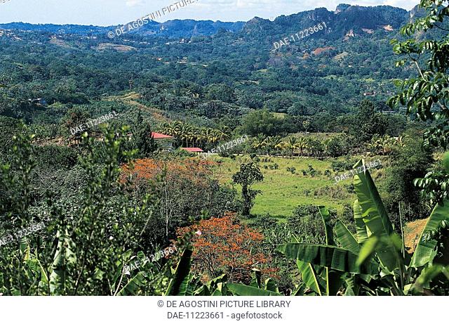 The Cordillera Central near Utuado, Puerto Rico, United States of America