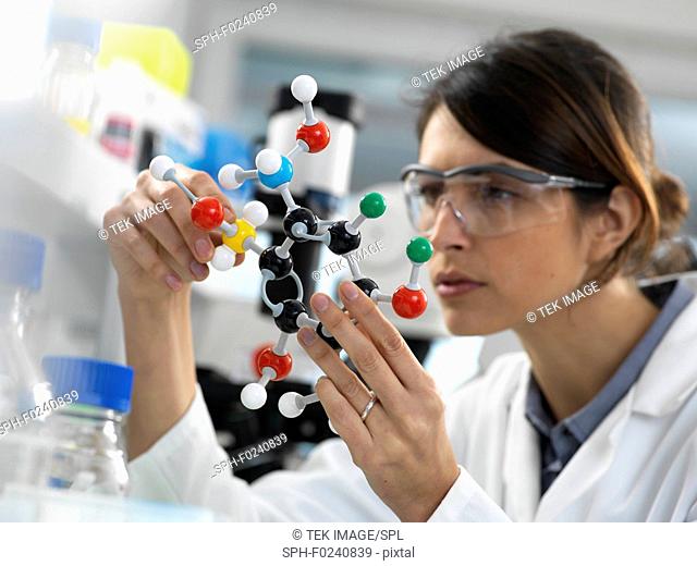 Female scientist designing a chemical formula using a ball and stick molecular model in the laboratory