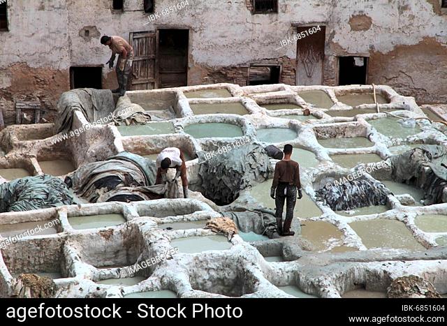 Traditional leather tanning and dyeing in the old town of Fez Morocco
