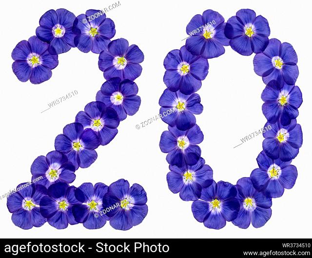 Arabic numeral 20, twenty, two, from blue flowers of flax, isolated on white background