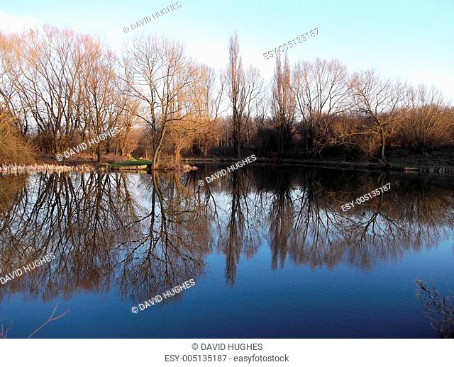 Tranquil Pond