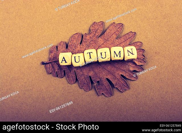 Autumn or fall composition or concept and word Autumn