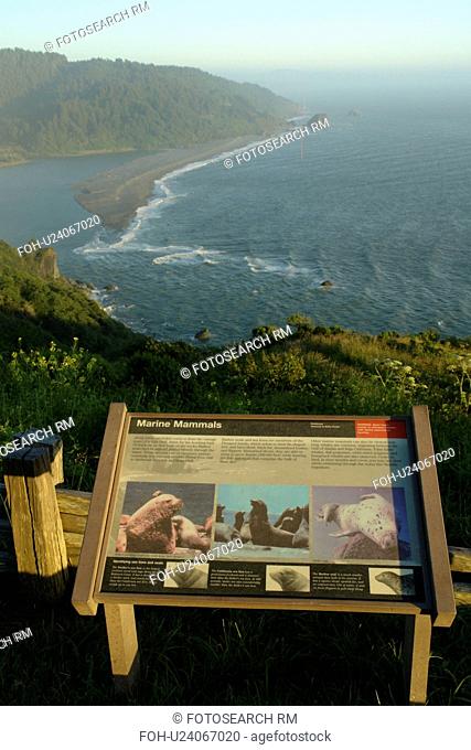 Requa, CA, California, Pacific Ocean, Redwood National and State Parks, Klamath River Overlook