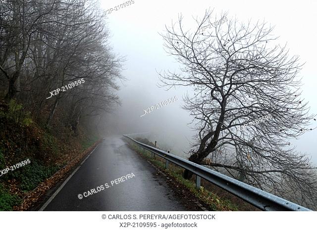 Landscape at Picos de Europa, Asturias, Spain