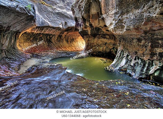 The unusual rock formation carved out by the left fork of North Creek is know as 'The Subway' at Zion National Park, Utah