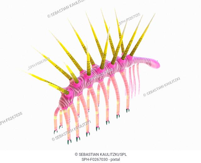 Hallucigenia marine invertebrate, computer illustration