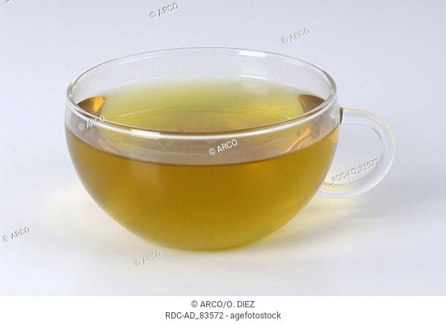 Cup of tea from Greater Celandine Chelidonium majus var. majus Gouwe