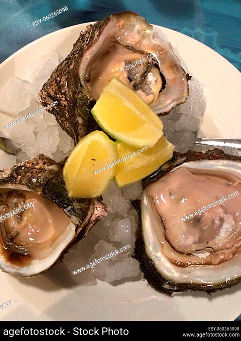 Opened oysters on crushed ice on a plate with lemons