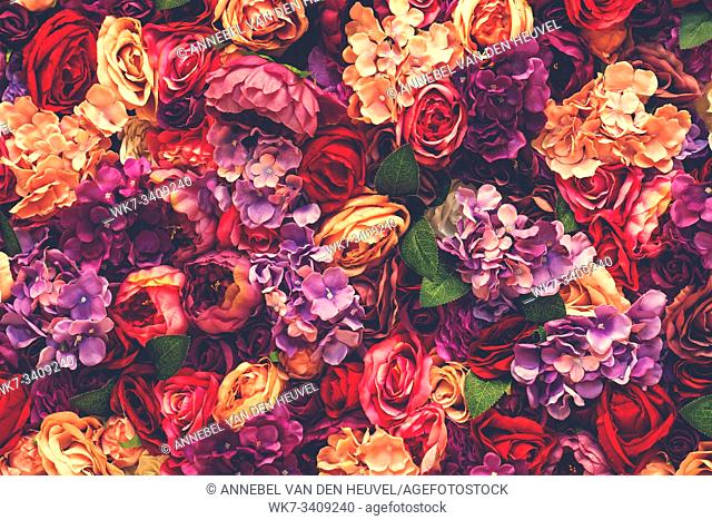 Many different pink flowers background texture, romantic blurred design beauty purple roses