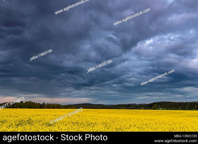 Thunderstorm over a rapeseed field near Jena