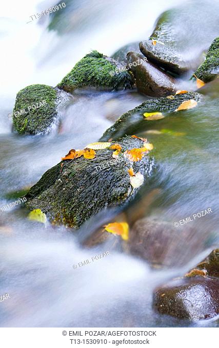 Flowing water in the Autumn, long exposure tripod shot, 'Zeleni vir' protected park near Skrad in Croatia